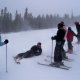 Skiing with the family - Breckenridge, CO 2007